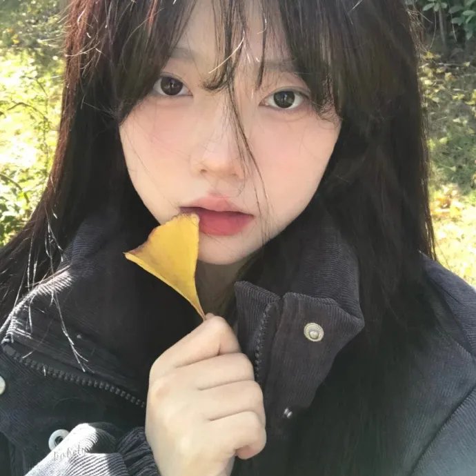 幕府风云